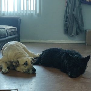 Meet your Posher, Jen